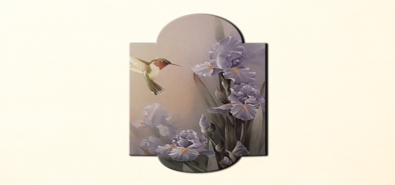 Hummingbird on Rosetan PROOF